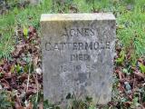 image of grave number 232861